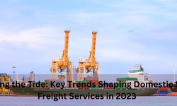 Riding the Tide: Key Trends Shaping Domestic Sea Freight Services in 2023