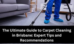 The Ultimate Guide to Carpet Cleaning in Brisbane: Expert Tips and Recommendations
