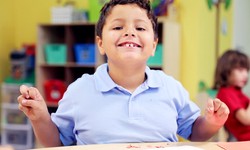 Empowering Education In Florida : The Impact Of Autism Schools