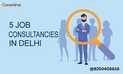 Discover the Power of Delhi's Top Job Consultancies