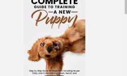 Training Puppies: A Guide to Early Socialization and Obedience