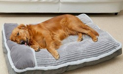 Here's Why Your Dog Deserves the Luxury of a Bed with Pillow Insert