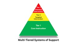 From Tier 1 to Tier 3: Navigating Multi-Tiered Systems of Support