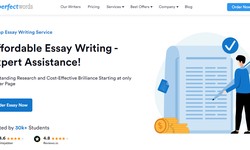 How Essay Writing Services Are Essential for Students