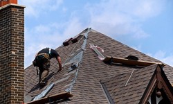 Why Roof Repair Should Be Your Home Improvement Priority