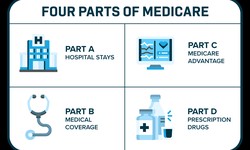How To Apply For Medicare: A Step-by-Step Guide to SignUp to Medicare