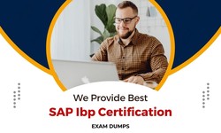 How to Start Preparation for the SAP Ibp Certification Exam?