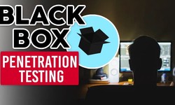 Black-Box Penetration Testing: Advantages, Disadvantages, Techniques, and Tools