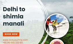 Delhi to Shimla Manali Exploring the Enchanting Hills