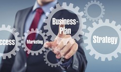 What Is The Crucial Role Of Business Advisory Services?
