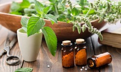Navigating Your Path to Wellness: Finding a Homeopathy Clinic Near You