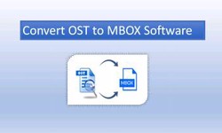 How to Switch OST to Thunderbird MBOX files for Windows 11?