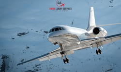 Charter a Private Jet at the Best Price with Pet-Friendly Private Jet Charter Services
