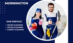 Carpet Stain Removal Techniques in Mornington