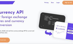 Navigating the Global Currency Market with Exchange Rate and Currency Converter APIs