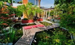 A Clear Reflection: Michael Savage's Commitment to Pristine Koi Pond Care in New Canaan