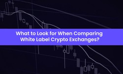 What to Look for When Comparing White-label Crypto Exchanges?
