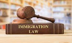 Choosing the Right Immigration Lawyer: Tips and Considerations
