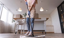 Cleaning Excellence in Darnestown, MD: Professional Cleaning Services Unveiled