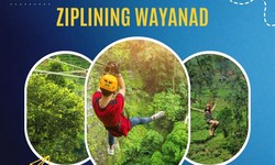 "Ziplining in Wayanad: Soar Through the Longest Zipline"