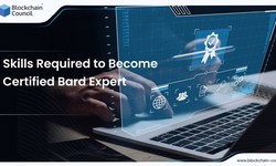 Skills Required to Become Certified Bard Expert