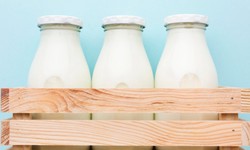 The Power of a Mobile App for Milk Delivery with Delivery Management Software