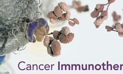 Upcoming Developments in Immunotherapy: Shaping the Landscape of Cancer Treatment