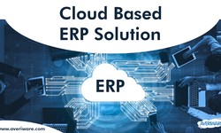 ERP Software: How Cloud Technology Drives Transformation and Efficiency