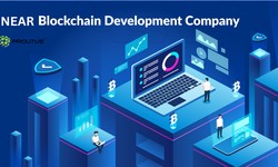 Choose the Best NEAR Protocol Development Company for Superior Blockchain Solutions