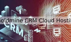 Goldmine CRM Cloud Hosting: The Ideal Business Solution