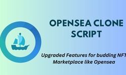 OpenSea clone script - Upgraded Features for budding NFT Marketplace like Opensea