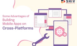 Some Advantages of Building Mobile Apps on Cross-Platforms
