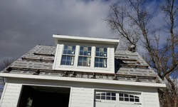 Top Roofing Trends in Charlotte, NC: What You Should Know