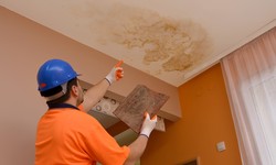 Is Roof Restoration the Answer to Your Roof Leak Woes