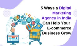 5 Ways a Digital Marketing Agency in India Can Help Your E-commerce Business Grow