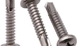 Unveiling the Versatile Pan Head Tapping Screw