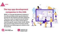The top app development companies in the USA