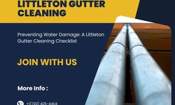 Preventing Water Damage: A Gutter Cleaning Littleton Checklist
