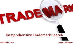 What is a Comprehensive Trademark Search?