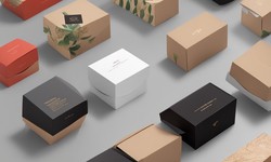 Who Can Benefit from Custom Retail Boxes?