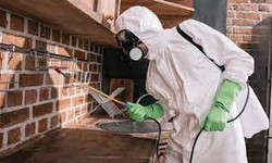 Pest Control Company York: Protecting Your Home from Unwanted Intruders
