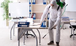 Importance of Professional Pest Control Services for Your Commercial Spaces