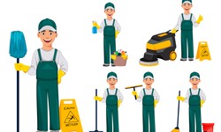 The Role of Professional Bond Cleaning in Perth