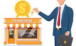 Exploring Lucrative Franchise Opportunities: A Guide to Finding the Perfect Fit