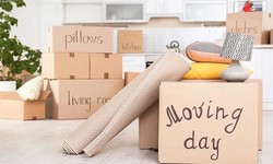 Staying Organized: Removalists' Tips for a Clutter-Free Move.