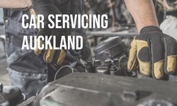 Reliable and Timely Auto Electrical Services in Auckland