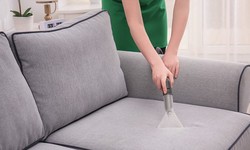 Top 5 Couch Cleaning Tips for Wollongong Residents