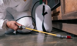 Ajman's Deep Clean Revolution: A Guide To Deep Cleaning Services