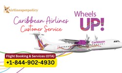 How can I contact Caribbean Airlines Customer Service?