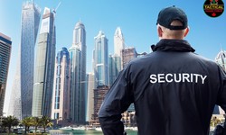 Security guard companies Toronto Offers a range of security services such as physical security, security systems and alarms, remote and virtual guarding, specialized services,